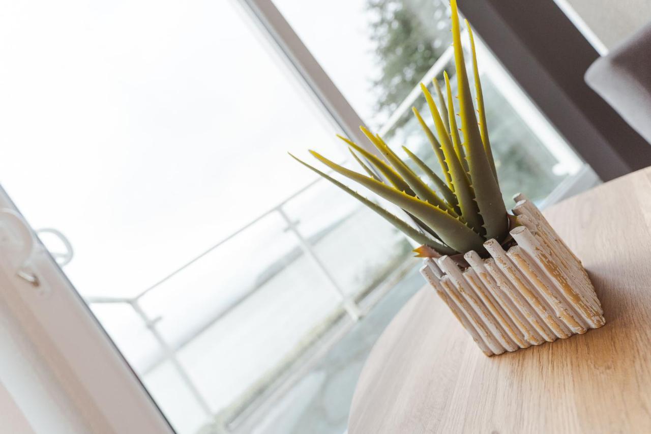 Watersedge Retreat, Views, Sunsets, Dogs Welcome Sandside  Exterior foto